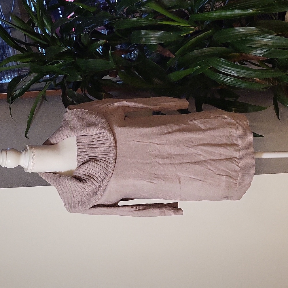 Express Purple 3/4 Sleeve Knitted Pullover Loose Turtleneck